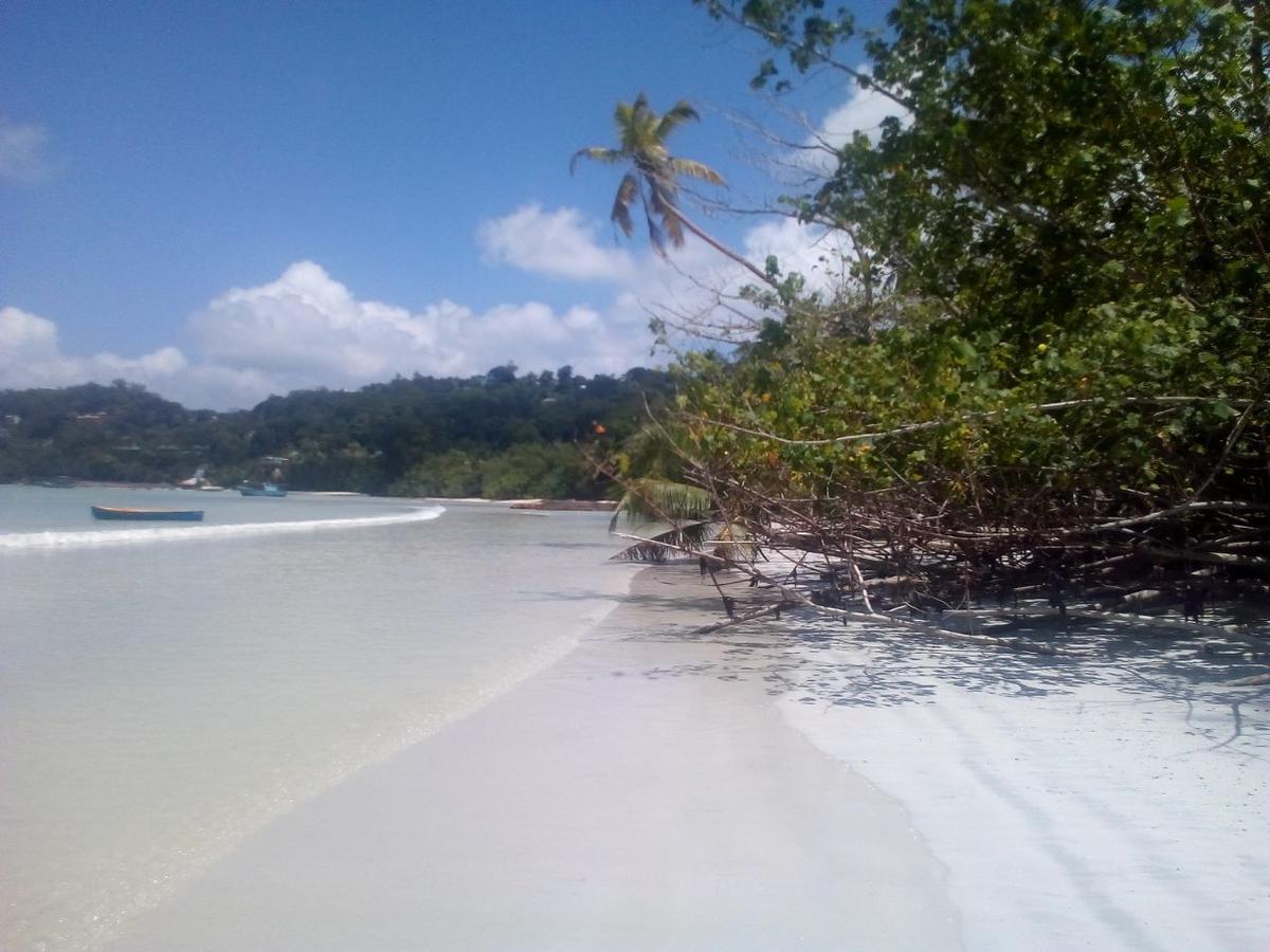 Maison Amantine Anse Royale Buitenkant foto